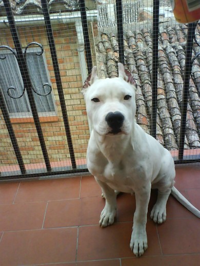 byron con poco mas de 4 meses